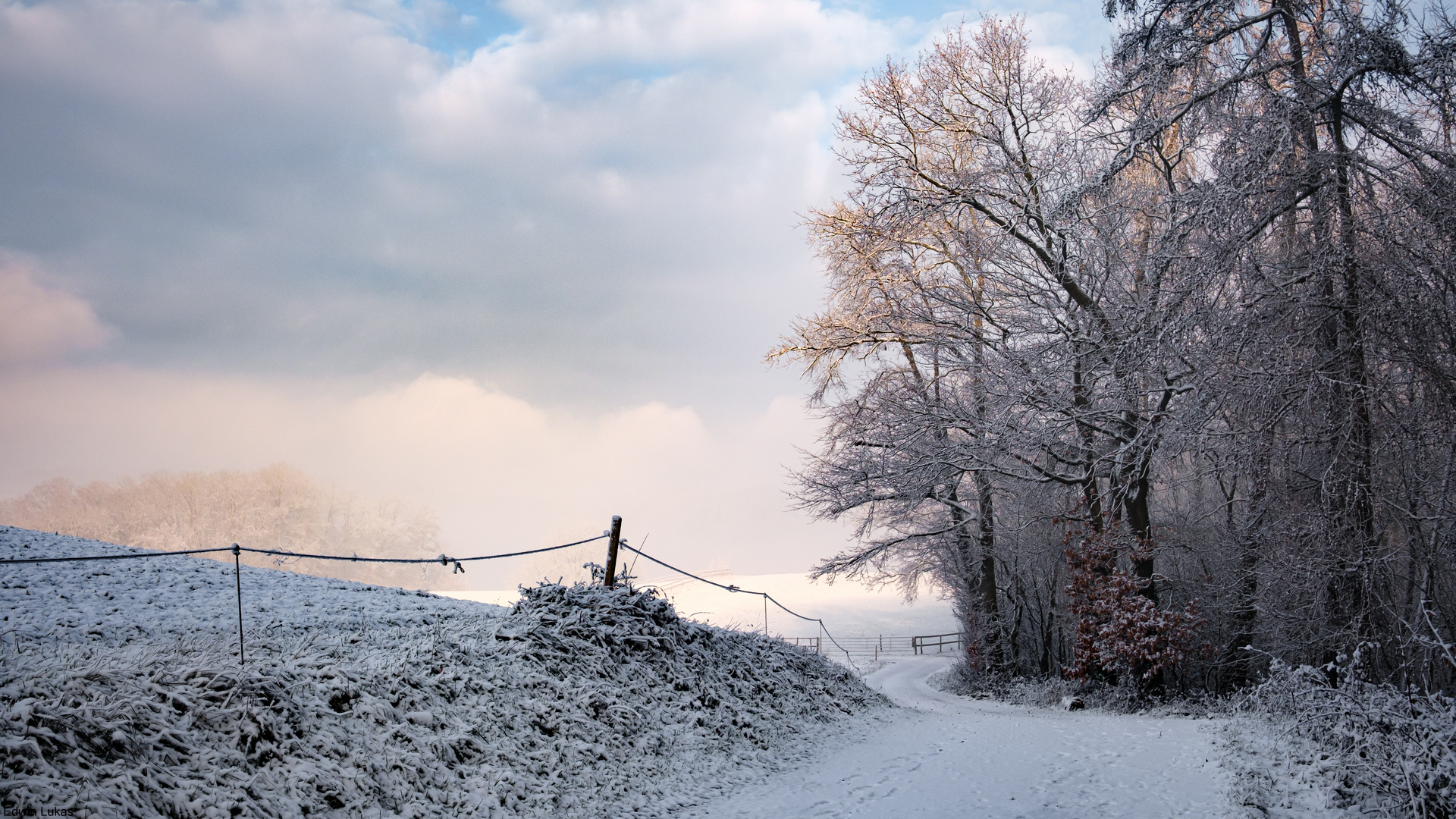 Winter Kontraste