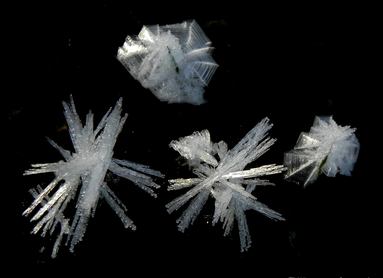 Winter - Kristallwelt (2)
