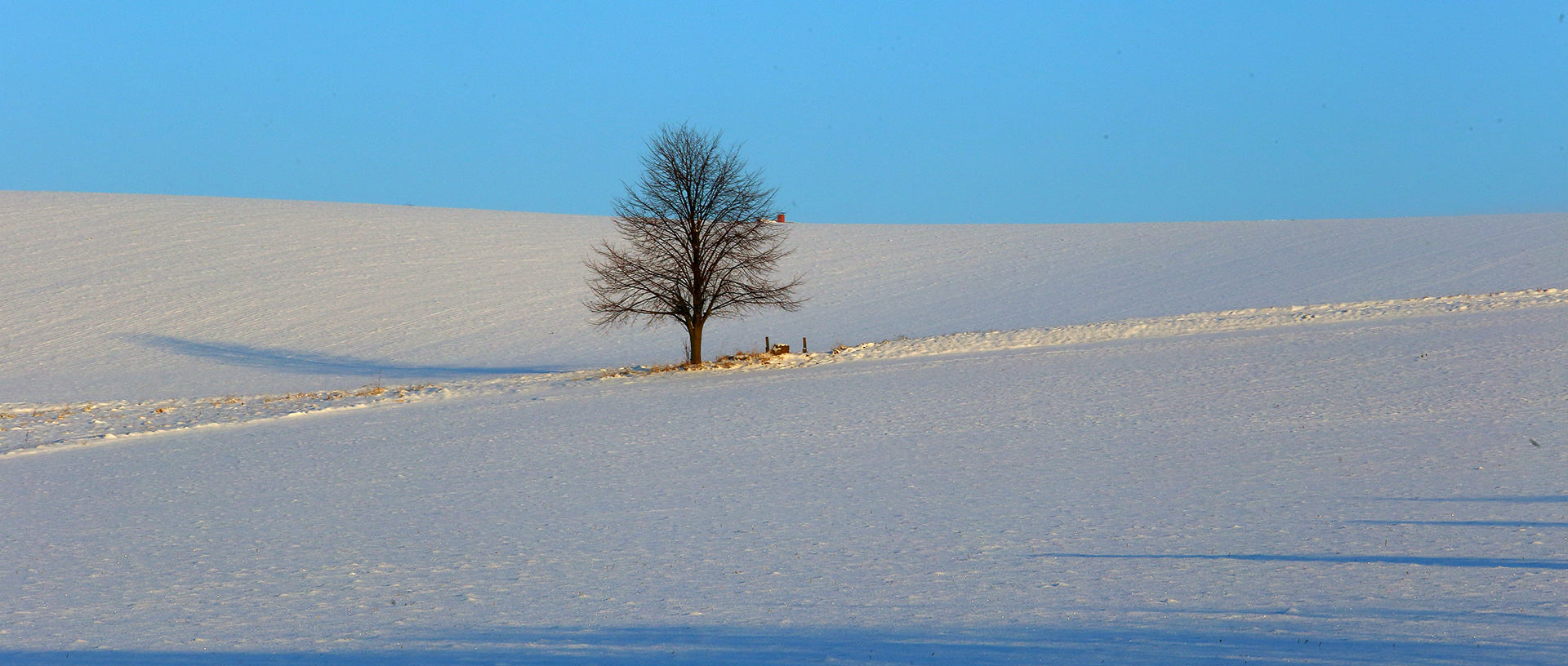 Winter kurz und minimalistisch im Gebiet des Hohburkersdorfer Rundblick