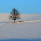 Winter kurz und minimalistisch im Gebiet des Hohburkersdorfer Rundblick