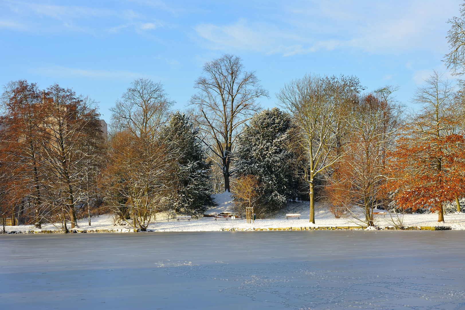 Winter lake