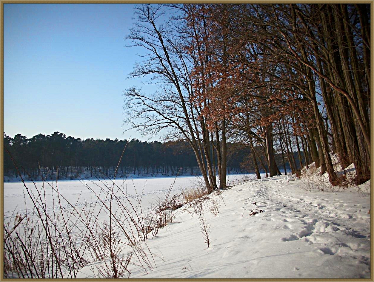 Winter lake