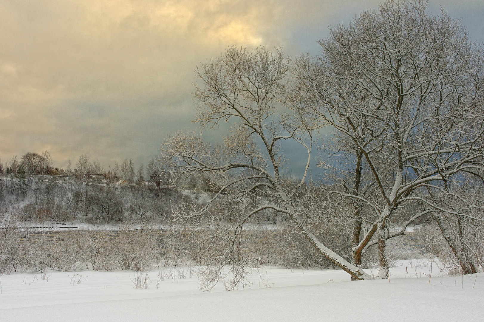 Winter landscape 1