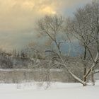 Winter landscape 1