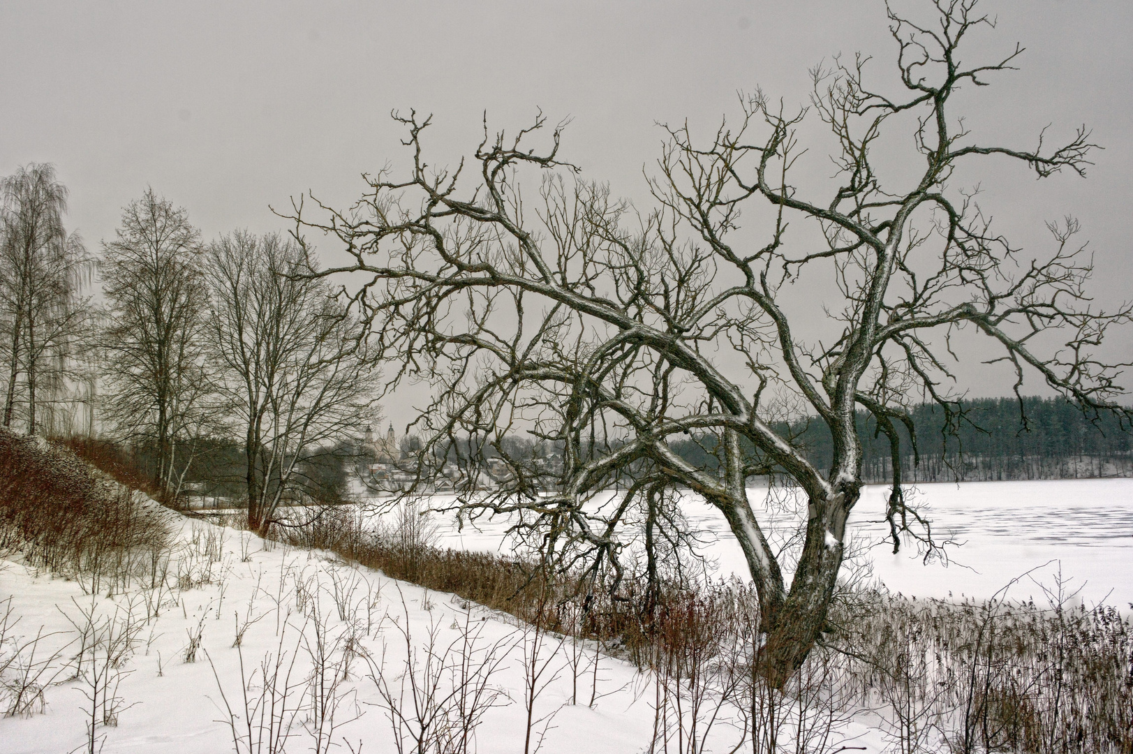 Winter landscape