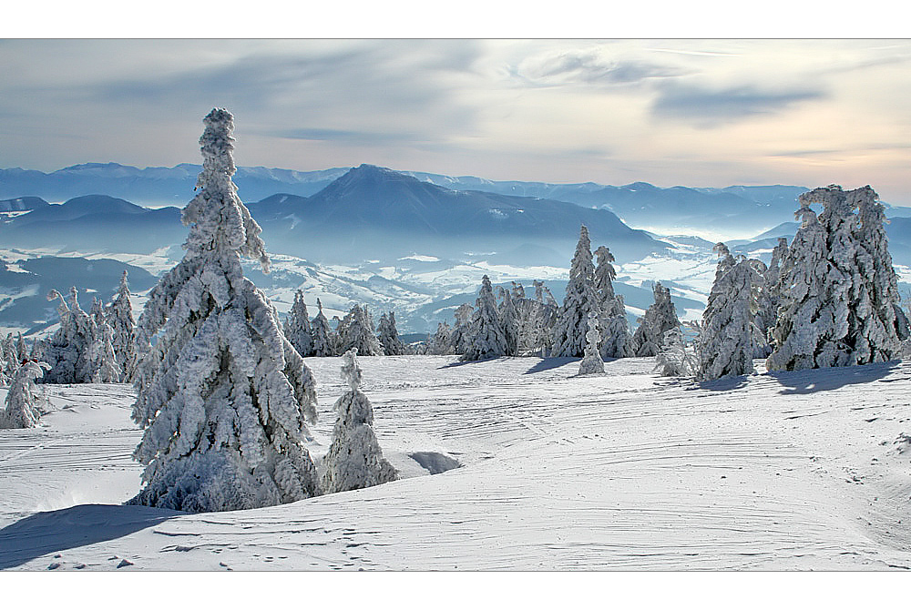 winter landscape