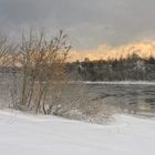 Winter landscape