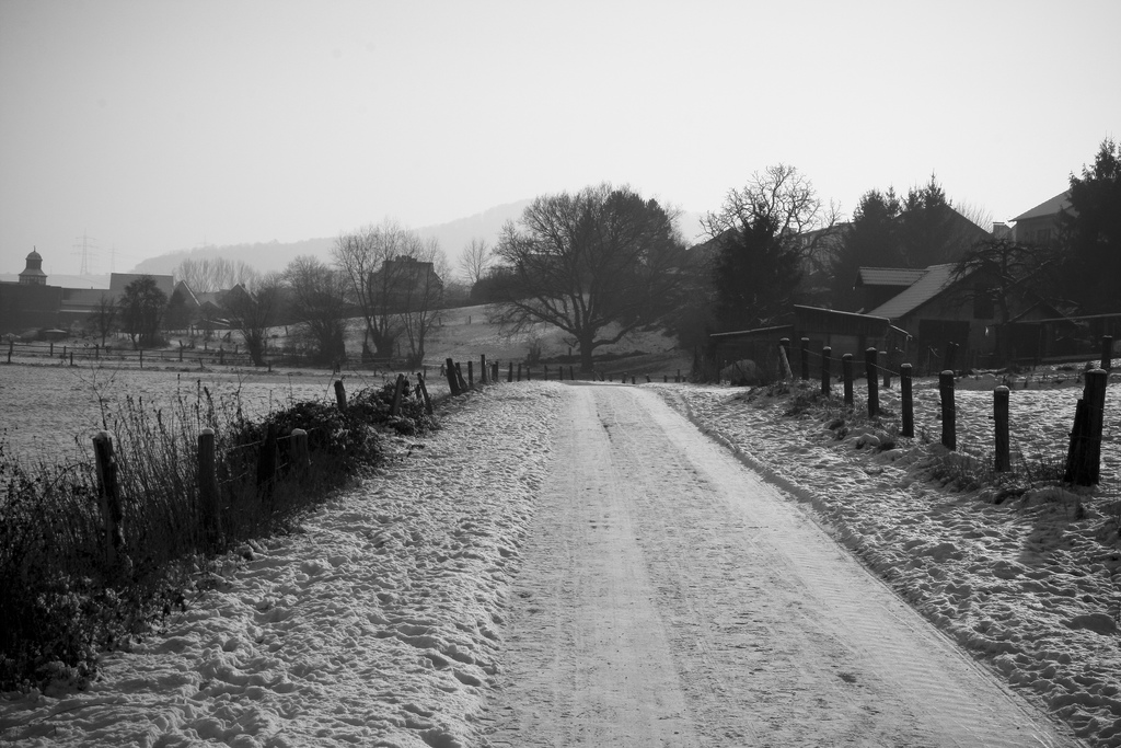 Winter landscape