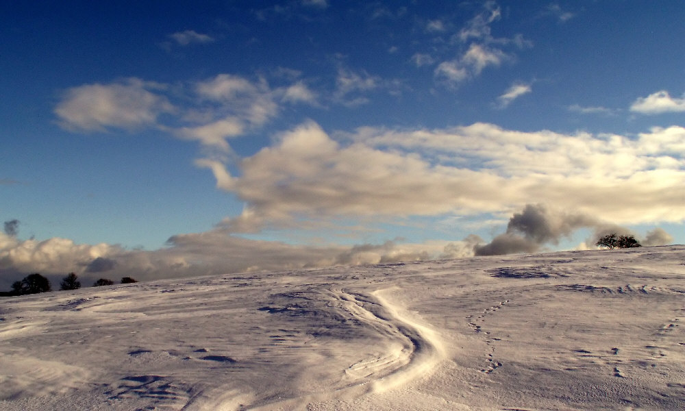 winter landscape