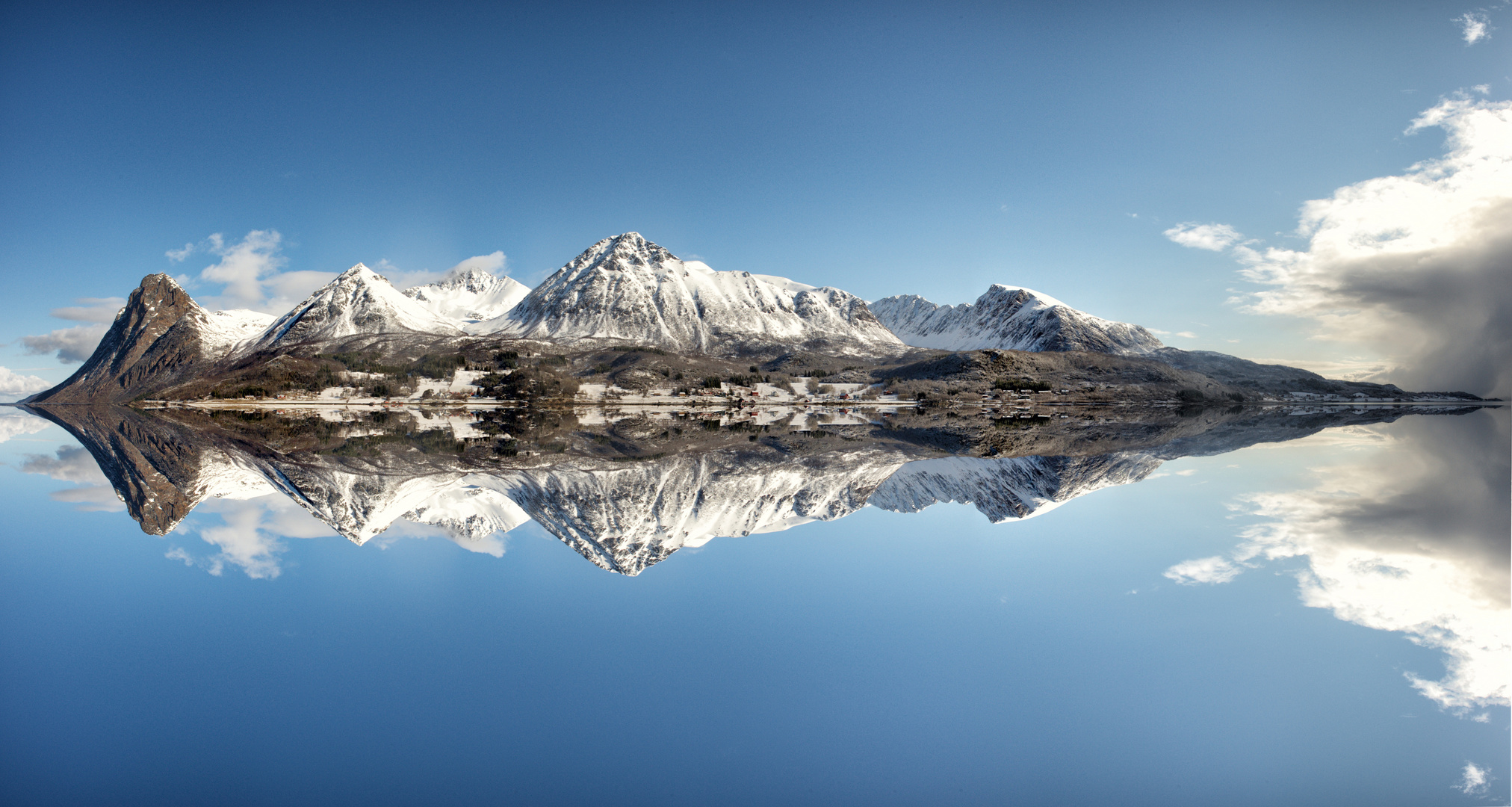 Winter landscape