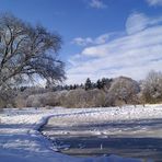 winter landscape