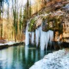 Winter Landscape Müllerthal