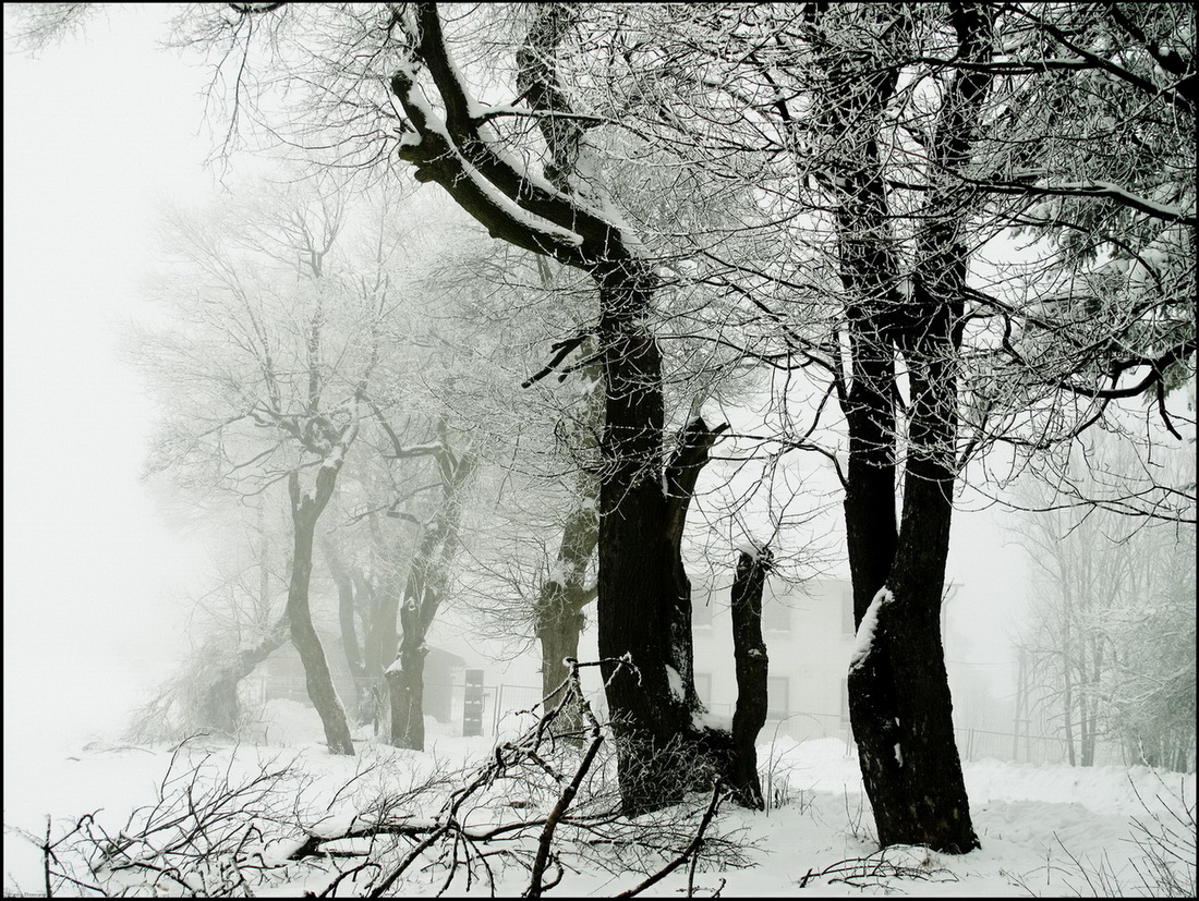  Winter Landscape -Wienerwald 