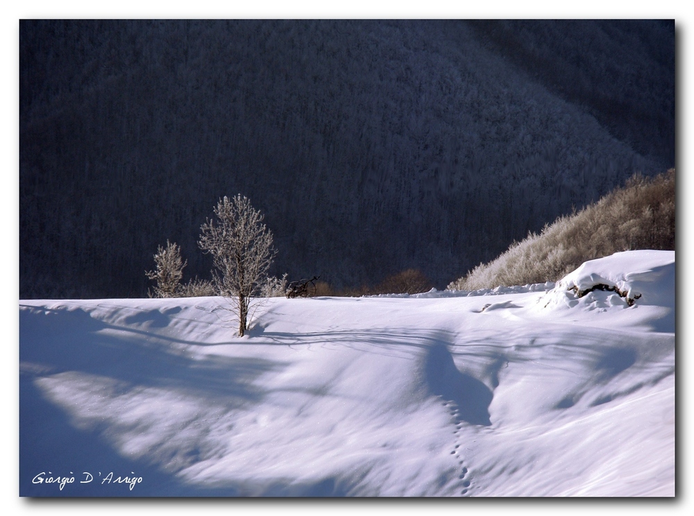 winter landscape2