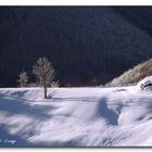 winter landscape2