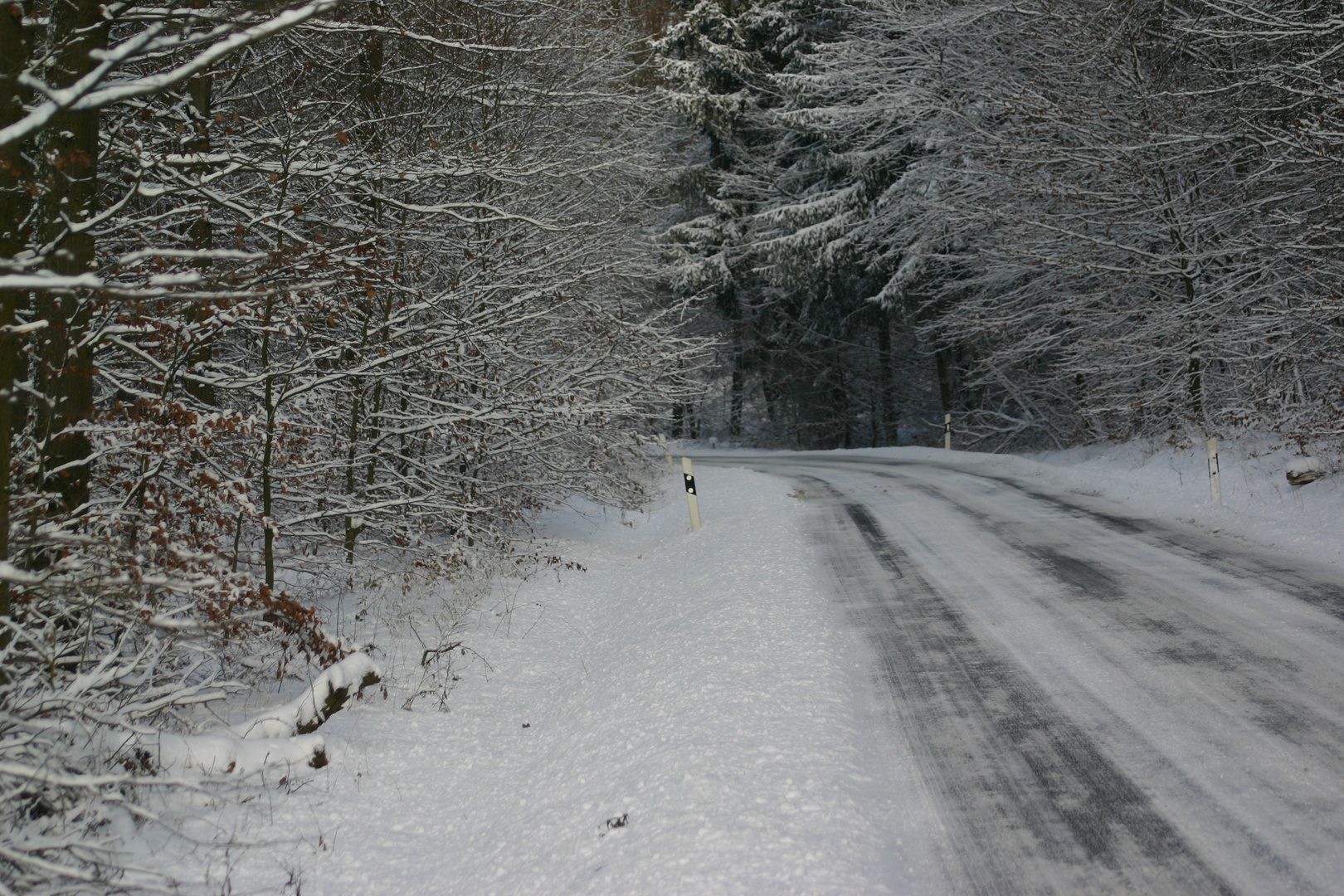 Winter Landschaft