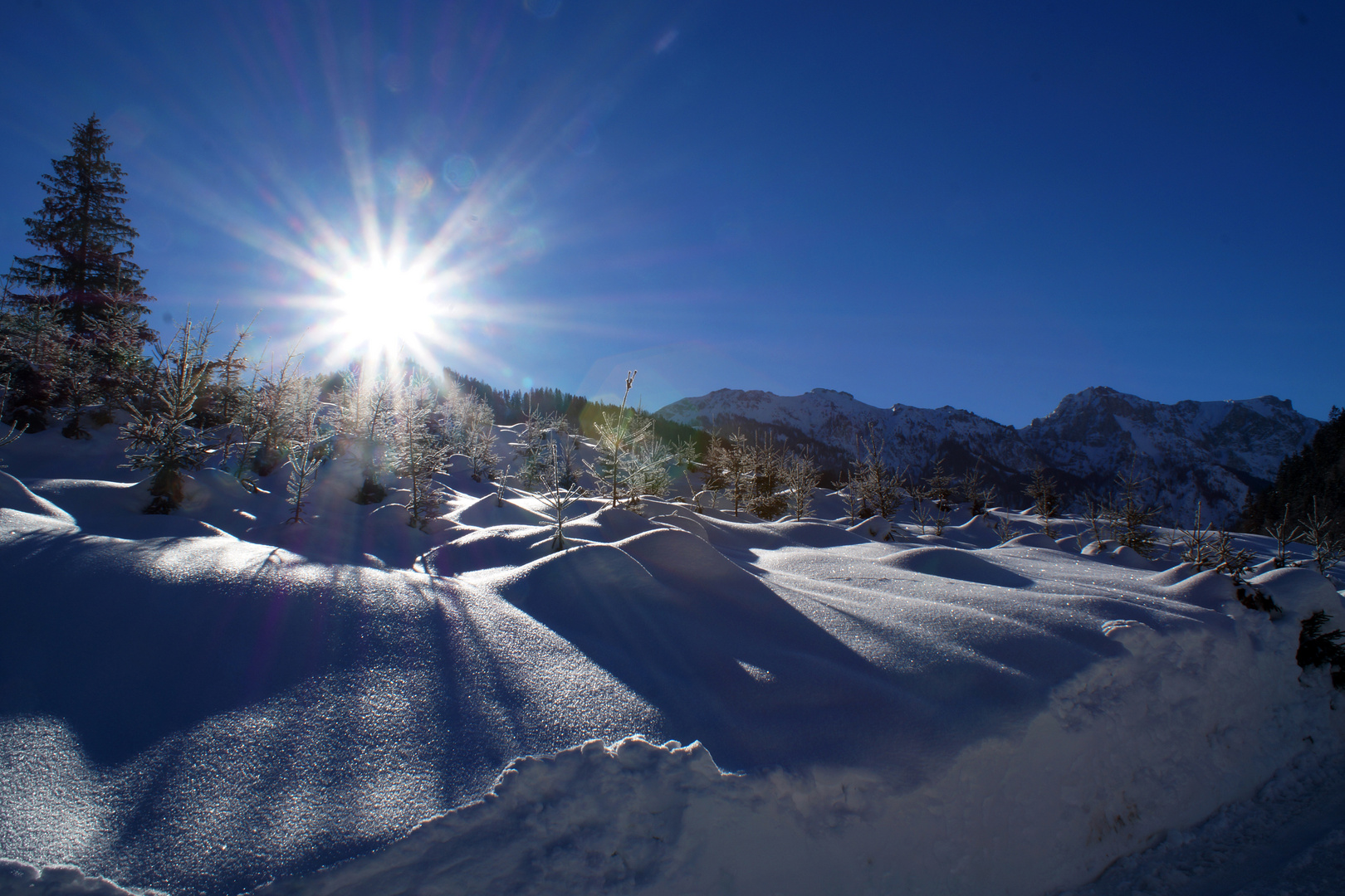 Winter Landschaft