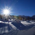 Winter Landschaft