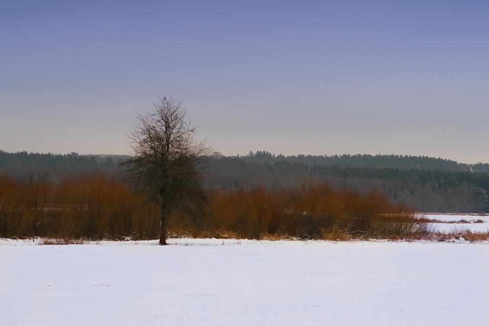 Winter Landschaft