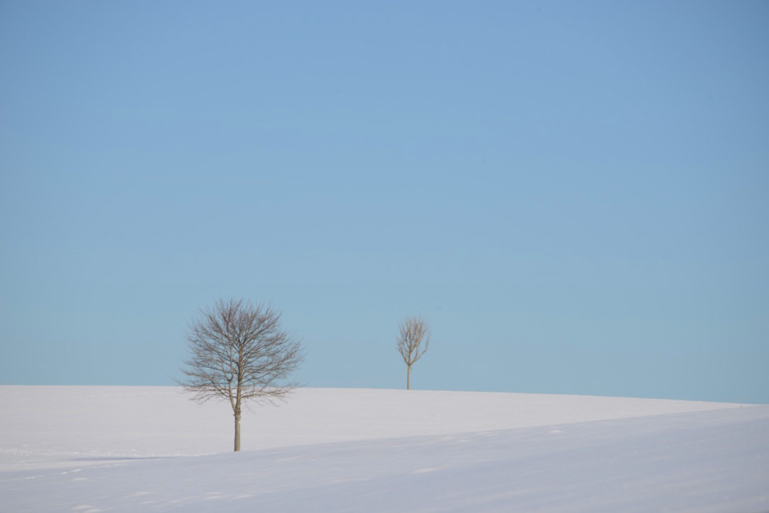 Winter- Landschaft