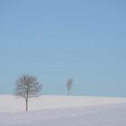 Winter- Landschaft