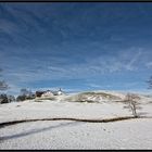 Winter Landschaft