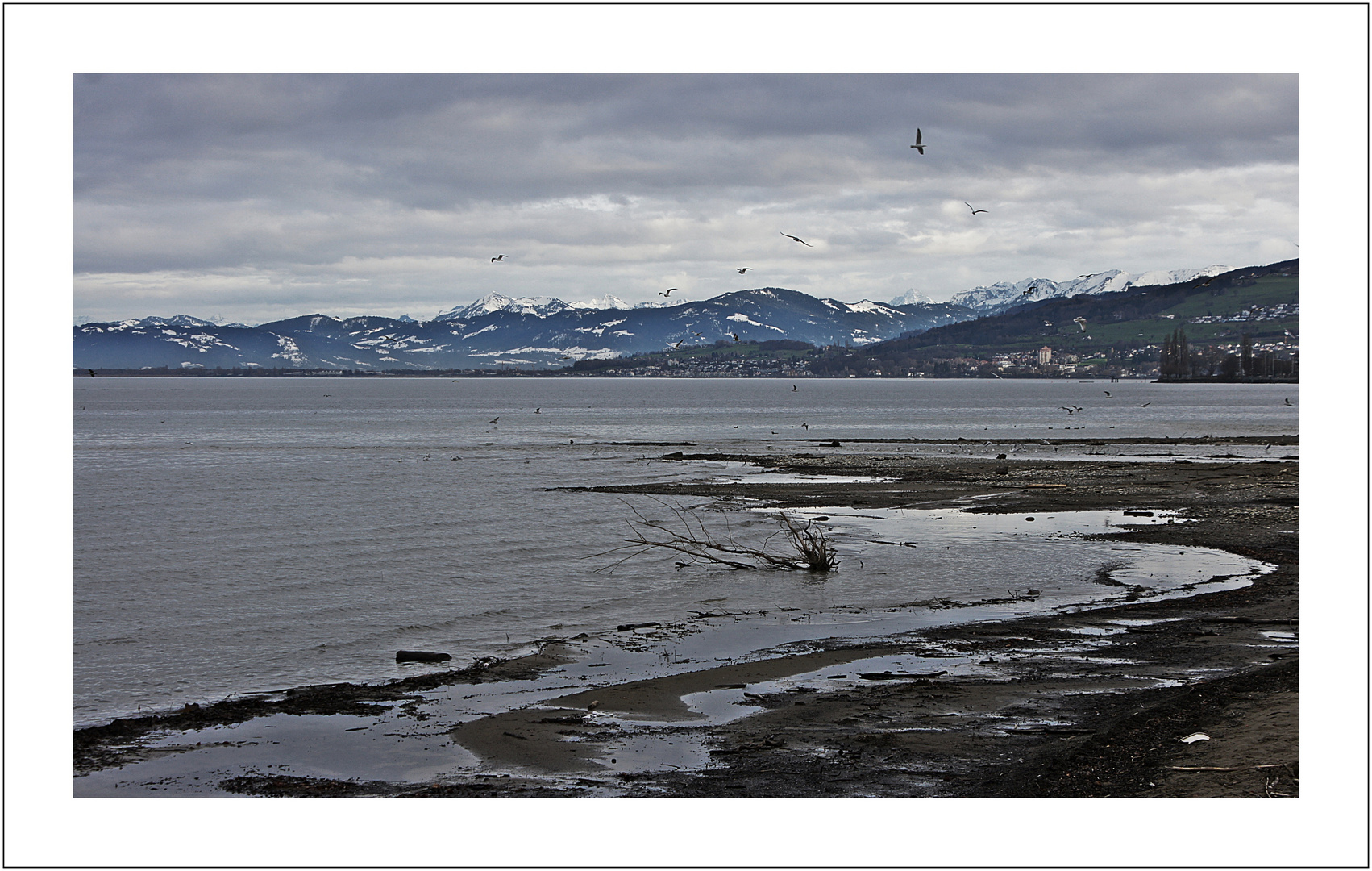 Winter? Landschaft am Bodensee