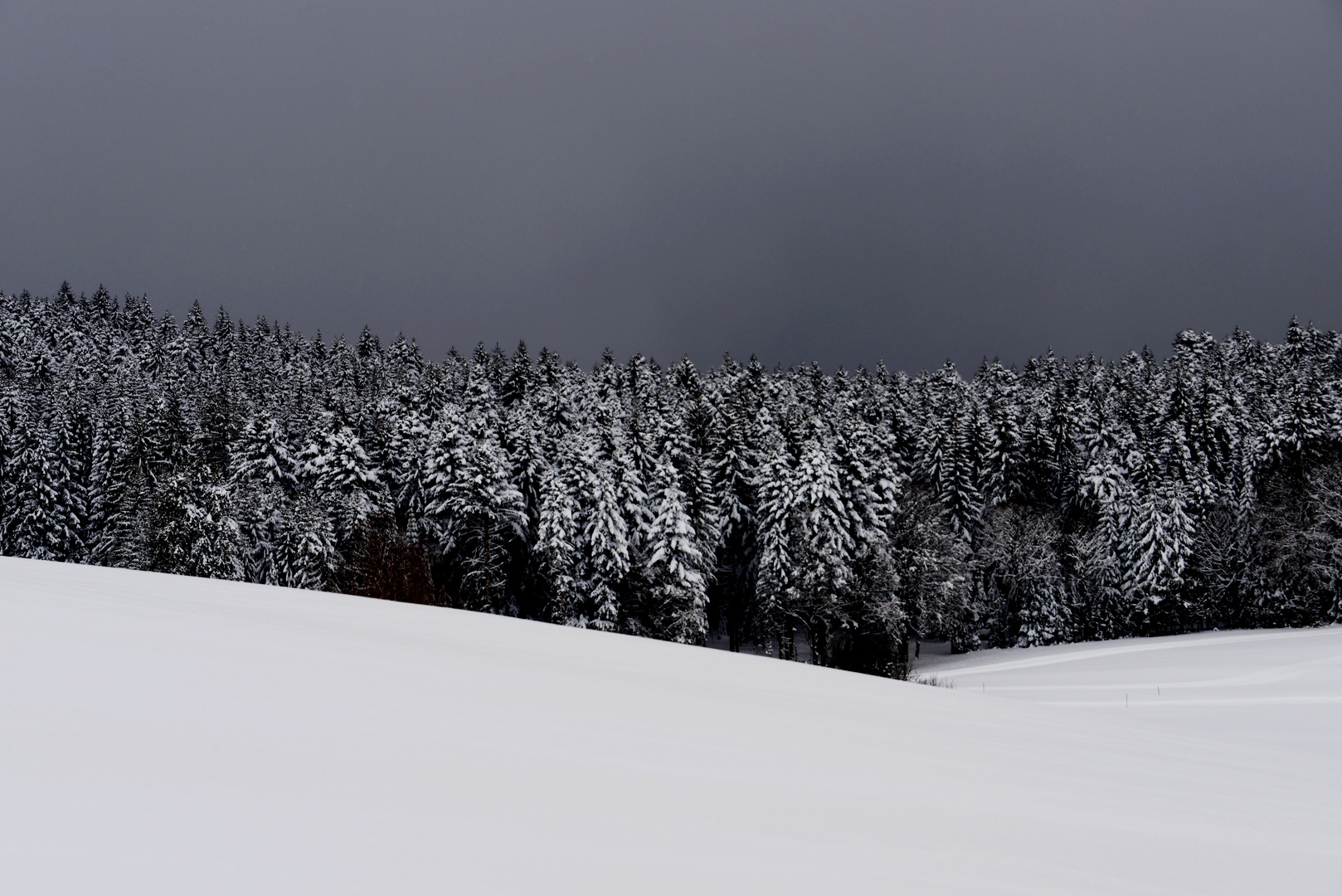 Winter- Landschaft