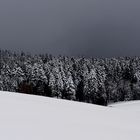 Winter- Landschaft