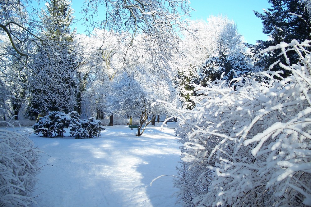 Winter Landschaft