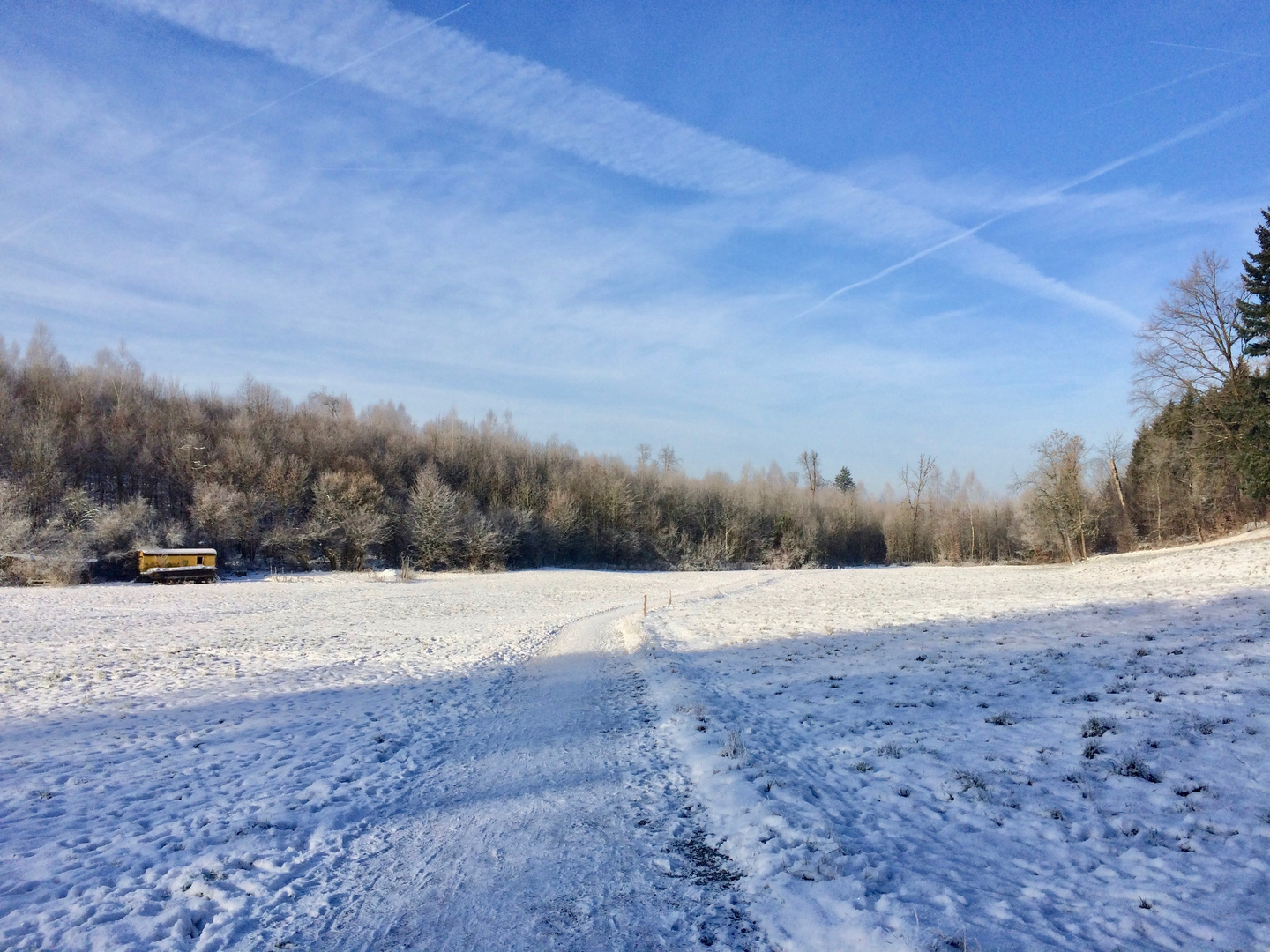 Winter Landschaft