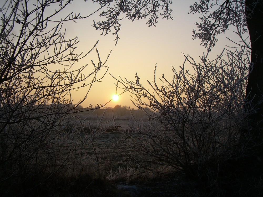 Winter landschaft in Barsbüttel