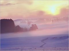 Winter Landschaft  Sachsenried