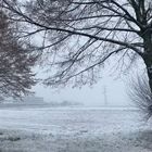 Winter Landschaften auf den Fildern 