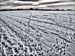 winter-landschafts-bild ...