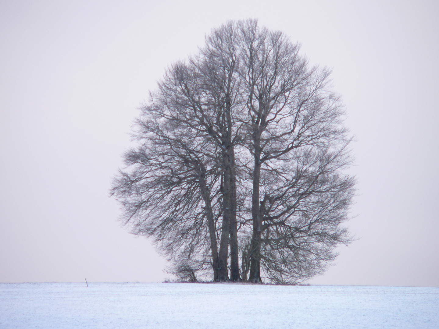 Winter, lang ist es her