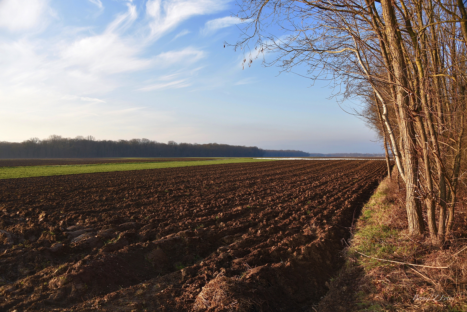 Winter lanscape