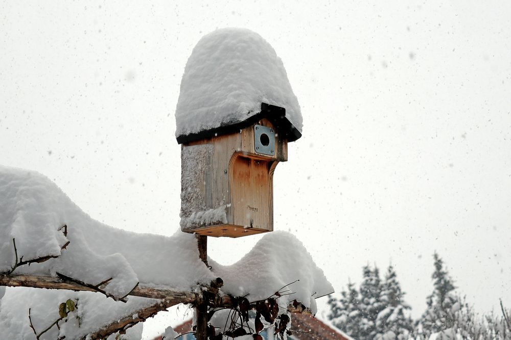 Winter-Leerstand