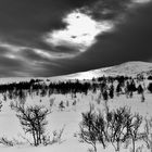 Winter-Licht  im Rondane-Gebirge
