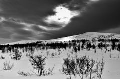 Winter-Licht  im Rondane-Gebirge