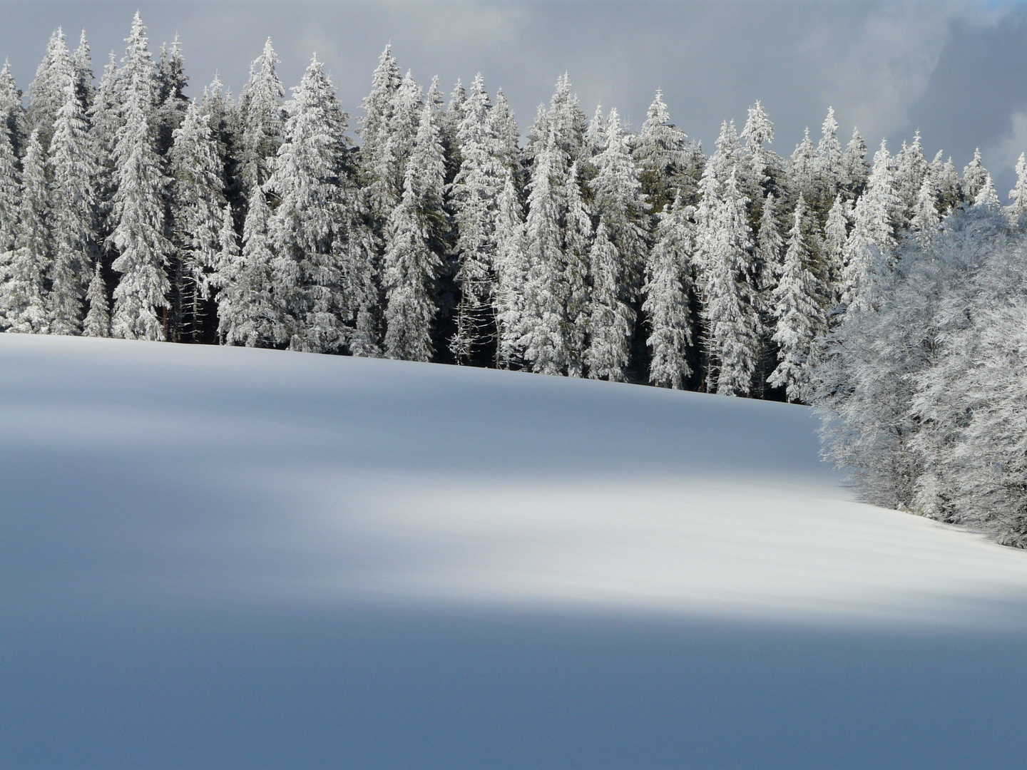 Winter-licht-ung