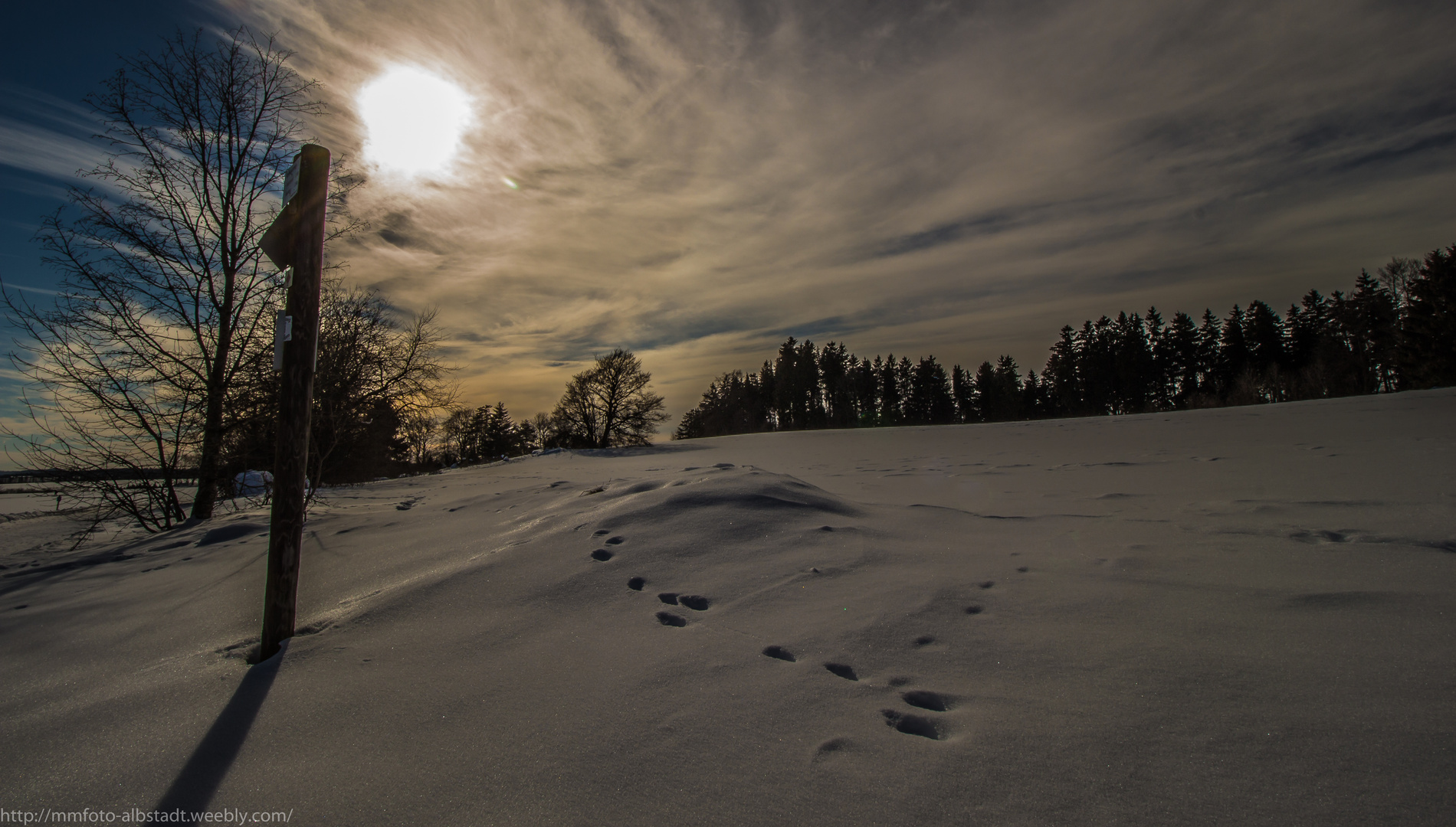 Winter Lichtspiel