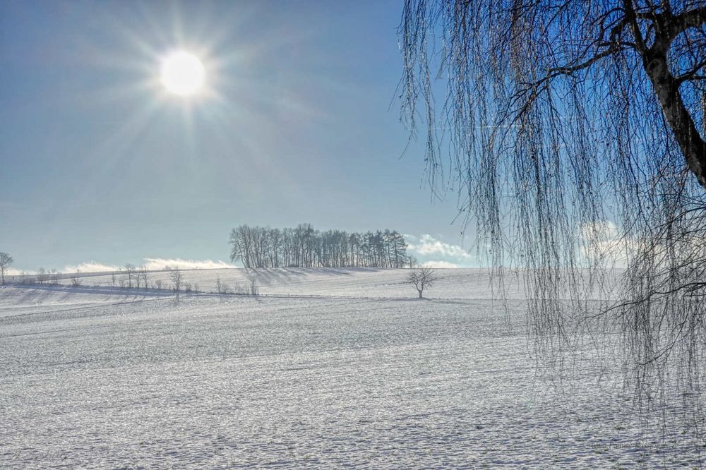 Winter Light