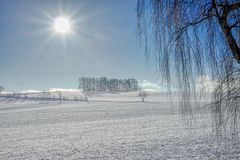 Winter Light