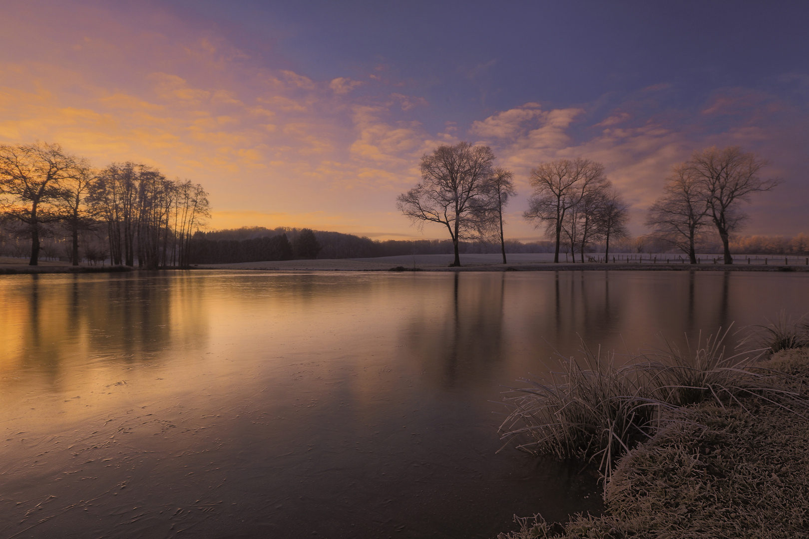 Winter light,