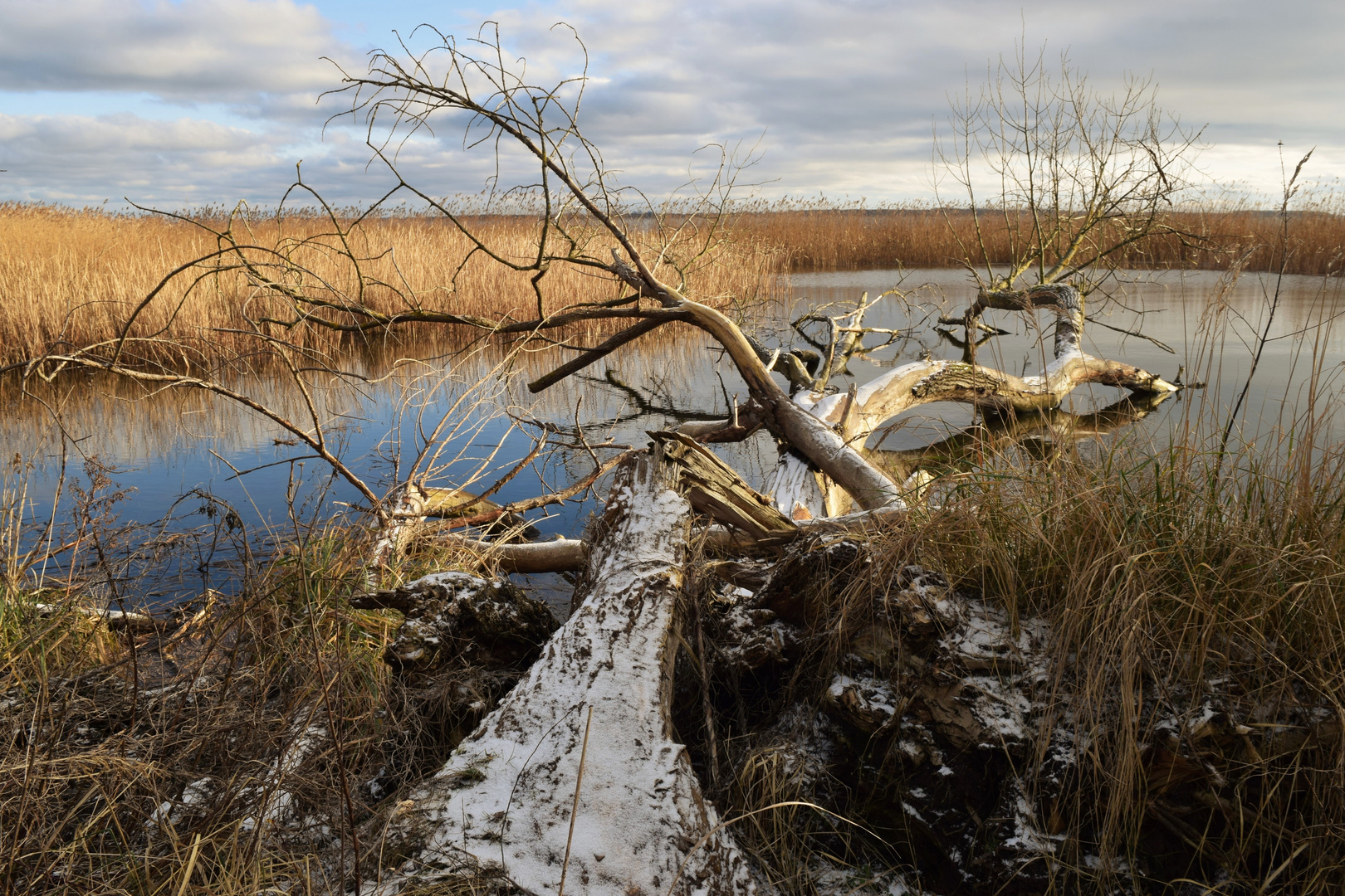 Winter light auf Usedom