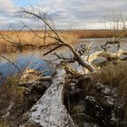 Winter light auf Usedom