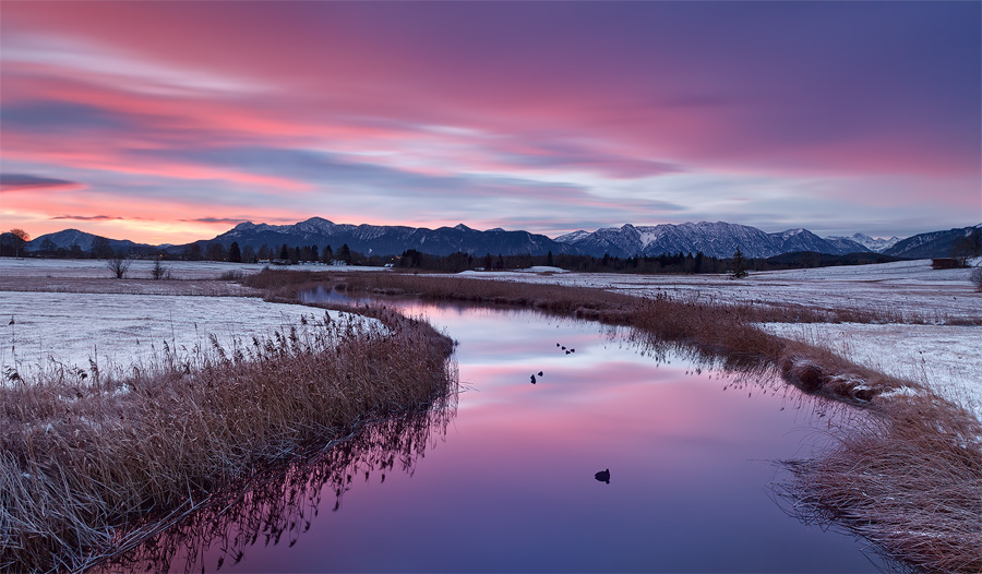 Winter Light