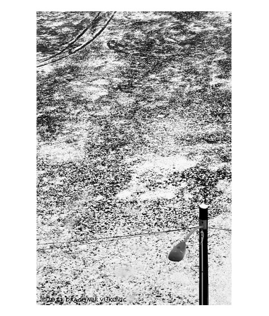 Winter Lines