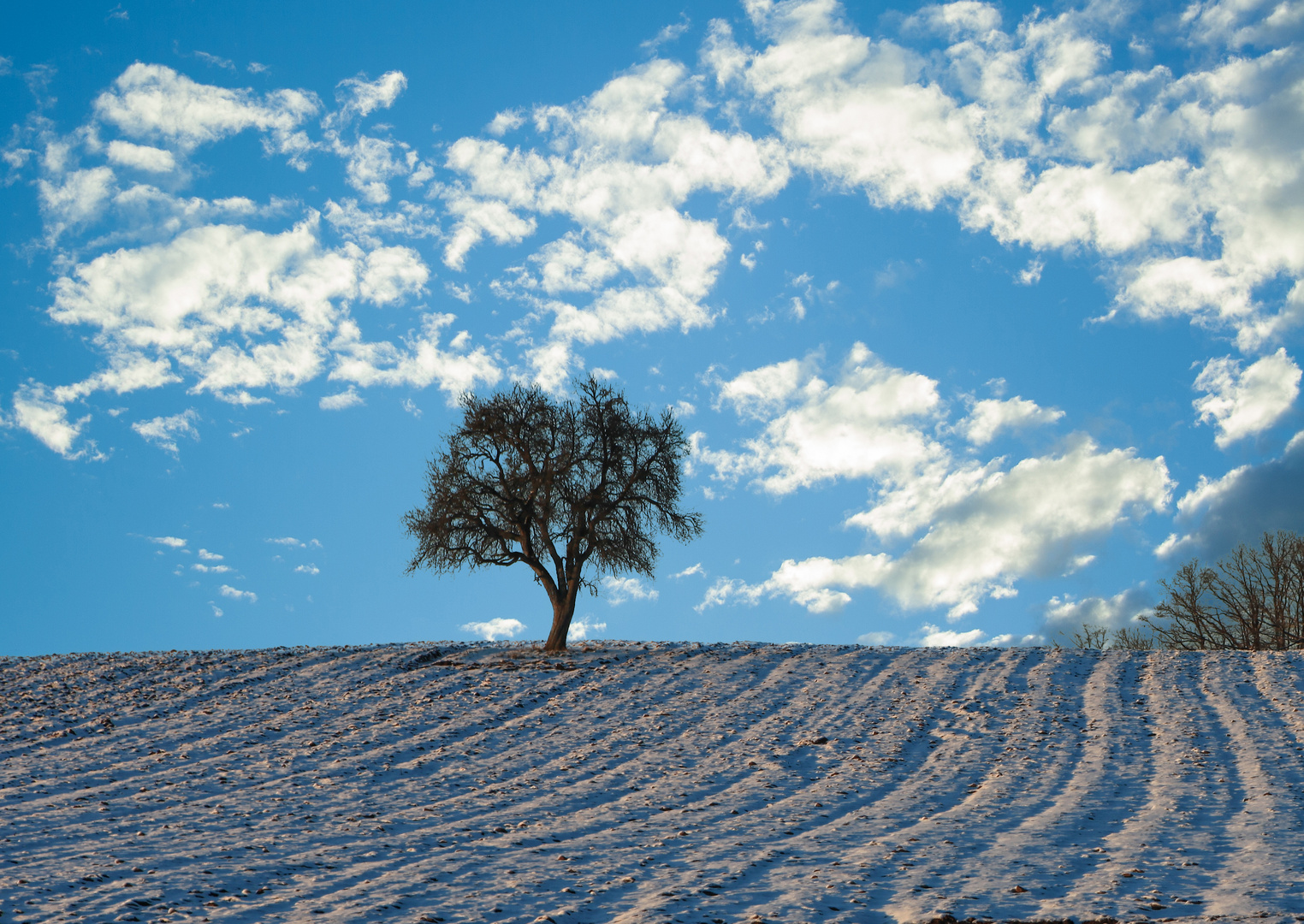 Winter-Linien